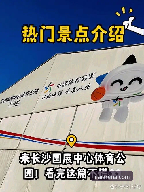 揭秘利来体育平台：一站式体育娱乐体验背后的创新密码